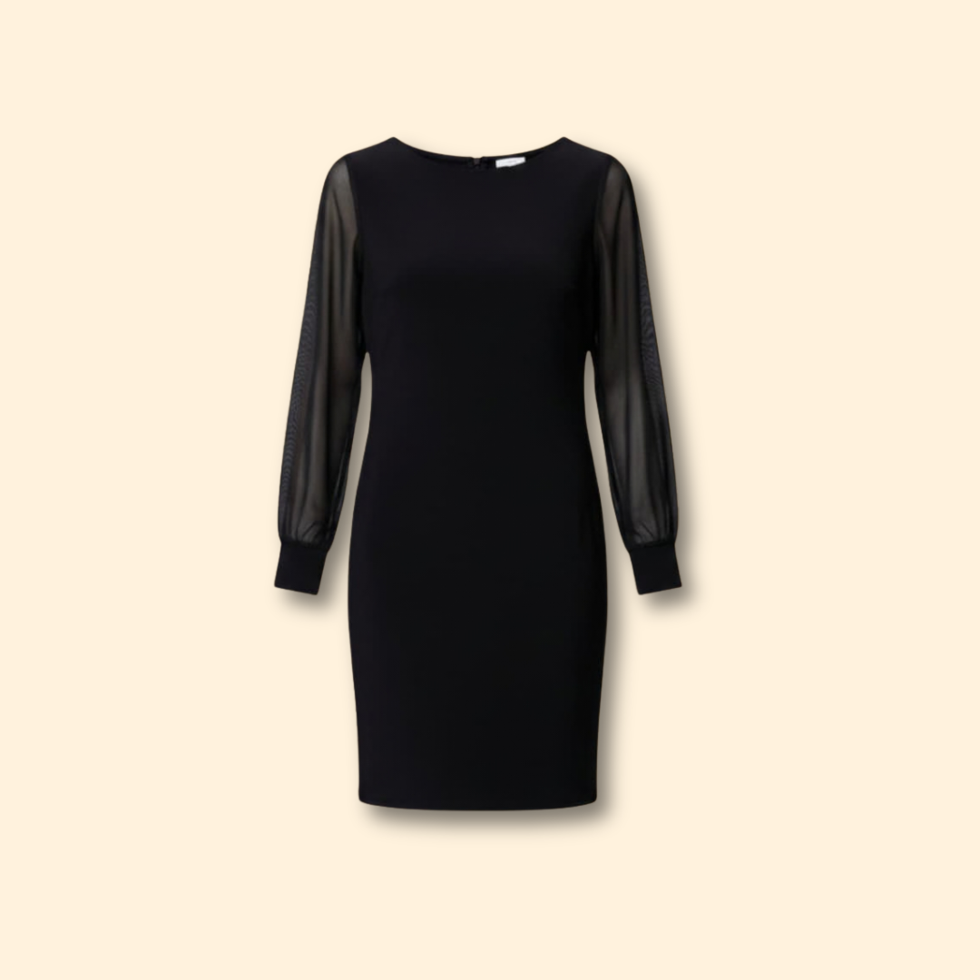 Women's  Mini Dress with Sheer Sleeves